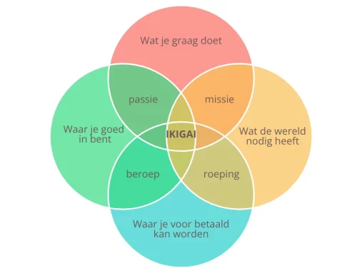 Betekenisvol leven in een wereld vol verwachtingen